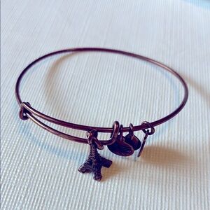 Alex and Ani Copper Charm Bracelet